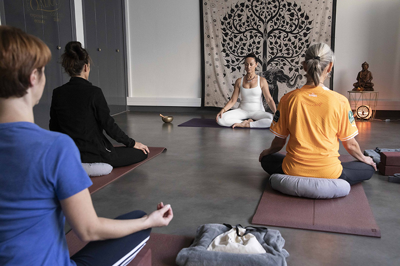 natasana, Ashtanga, Vinyasa yoga,Yogathérapie, Hatha et Yin yoga, Nathalie Clerc, professeure de yoga certifiée, Cours particuliers de yoga tous niveaux, massages ayurvédiques traditionnels indiens, Conseil et formation pour le bien-être au travail, Stages entreprises, associations, collectivités, particuliers